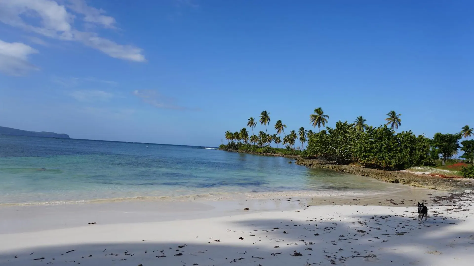 El Castillo Las Galeras Bed & Breakfast